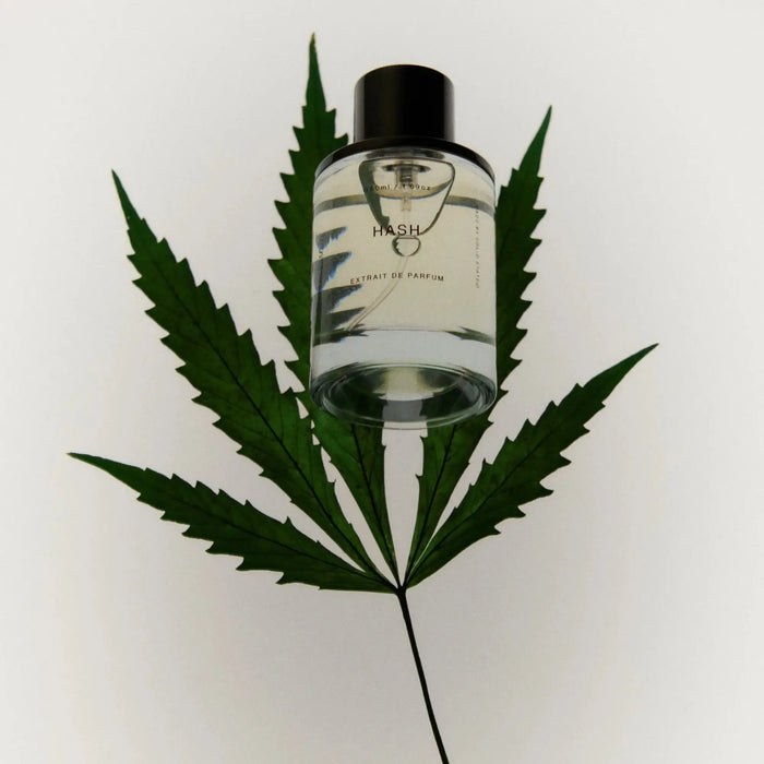 Solid State | EDP-Solid State-Homing Instincts