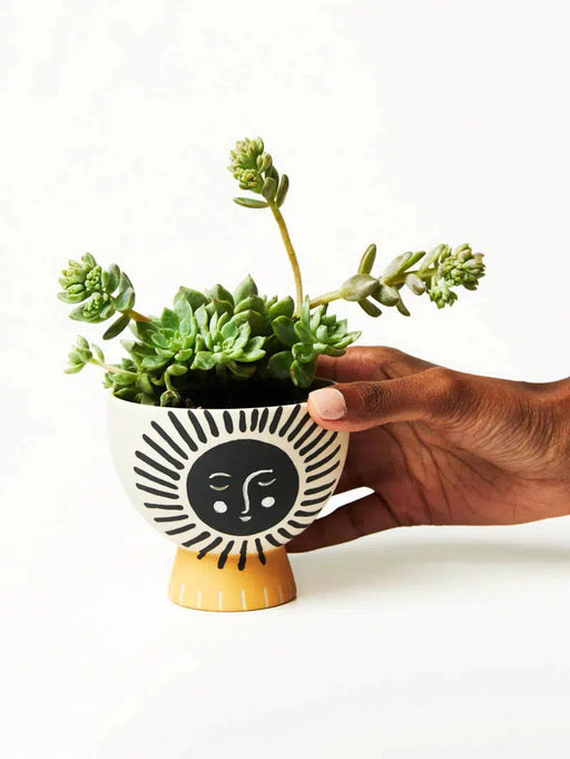 Jones & Co | Sun Pocket Planter (Multiple Designs Available)-Jones & Co-Homing Instincts