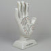 Oshi | Palmistry Hand-Oshi-Homing Instincts