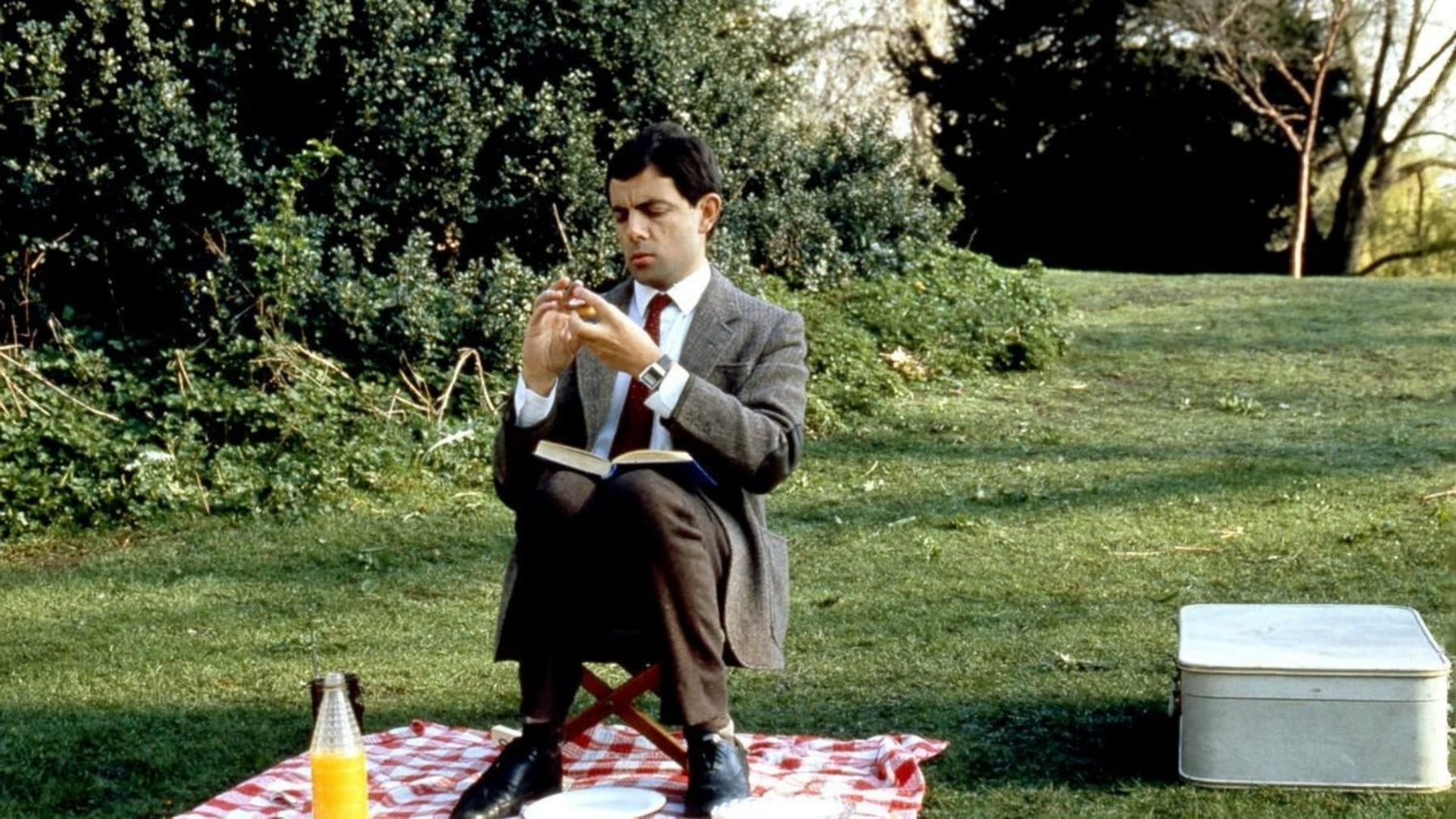 Mr Bean having a picnic
