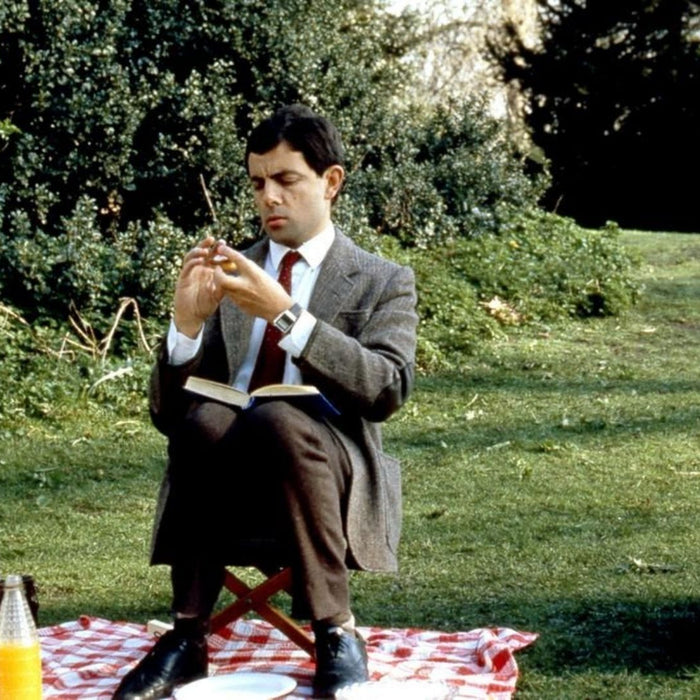 Mr Bean having a picnic