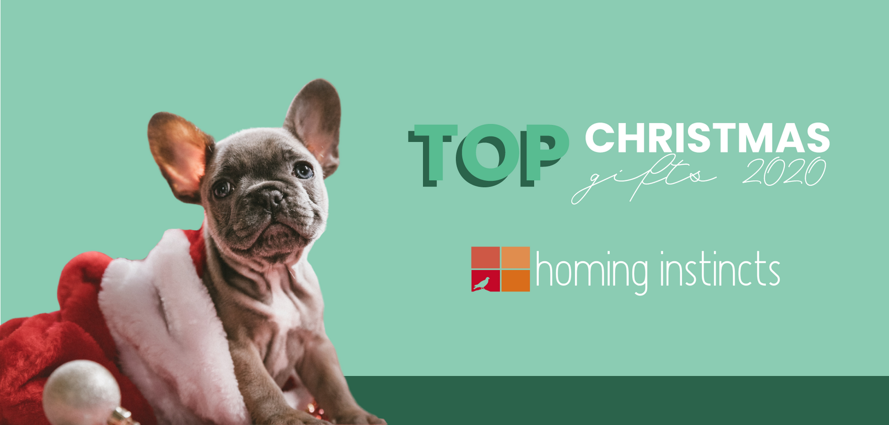 Santa Claus Is Coming! | The Top Christmas Gift Ideas for 2020-Homing Instincts