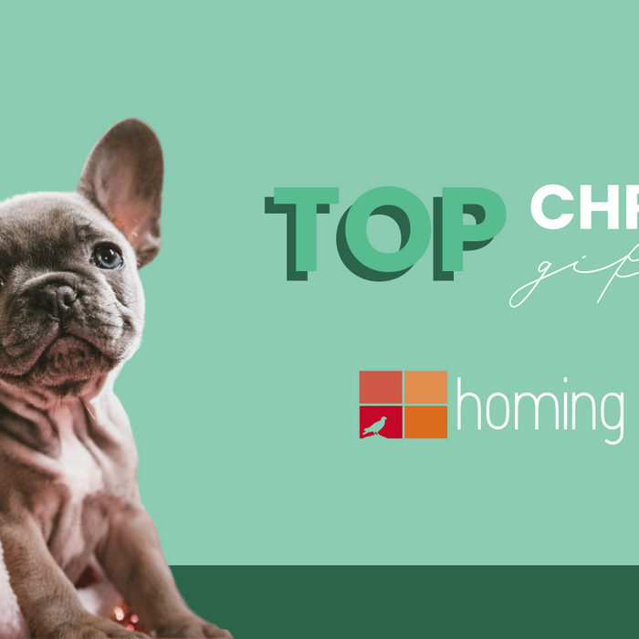 Santa Claus Is Coming! | The Top Christmas Gift Ideas for 2020-Homing Instincts