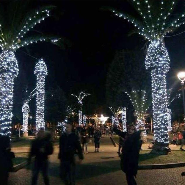 Christmas lights on palm trees meme