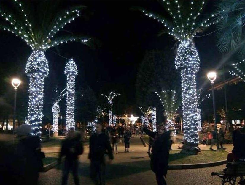 Christmas lights on palm trees meme