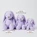 Pilbeam Living | Lilac Bunny Small