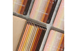 Printworks | Colour Pencils (set of 12) - Skin Tone