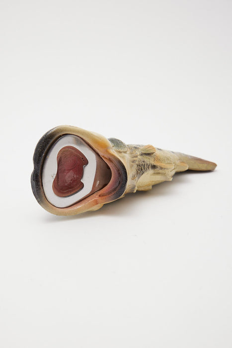 MDI | Bottle Opener Bass One Size