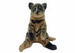 Tacchii Zoo | Plushies Normal Sitting Cat Plushie Tortoise Shell Homing Instincts