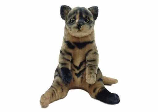 Tacchii Zoo | Plushies Normal Sitting Cat Plushie Tortoise Shell Homing Instincts