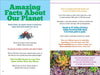Peter Pauper Press | Big Book of Useless Facts Hardcover
