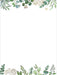 Peter Pauper Press | Eucalyptus Stationery – 30 Sheets & 24 Envelopes