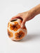 Jones & Co | Pollen Burnt Hibiscus Vase-Jones & Co-Homing Instincts