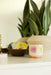 Paddywax | A Dopo 8oz Ceramic Candle "Sun" - Orange Blossom-Paddywax-Homing Instincts
