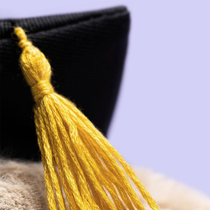 Jellycat | Bashful Bunny Graduation Outfit Soft Plush Toy