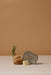 Paddywax | Bistro Tin Candle Rosemary Thyme 4.5 Oz