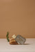 Paddywax | Bistro Tin Candle Rosemary Thyme 4.5 Oz