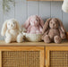 Pilbeam Living | Pink Bunny Small Plush Toy