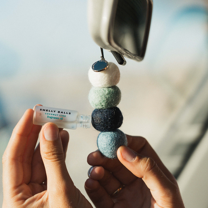 Smelly Balls | Scented Car Air Freshener