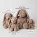 Pilbeam Living | Taupe Bunny Small