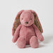 Pilbeam Living | Floral Raspberry Bunny Medium