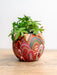 Koh Living | Aboriginal Home Tealight Candle Holder
