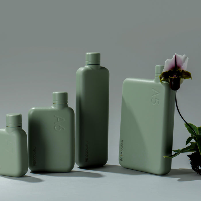 Memobottle | A6 Stainless Steel Water Bottle Pistachio Homing Instincts