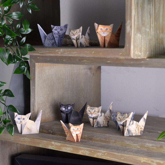 Pikkii | Paper Cats