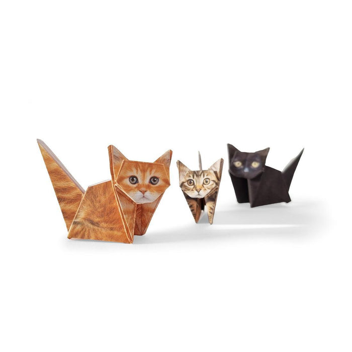 Pikkii | Paper Cats