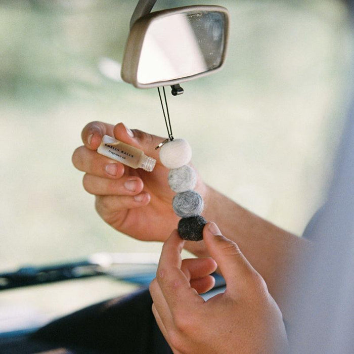 Smelly Balls | Scented Car Air Freshener