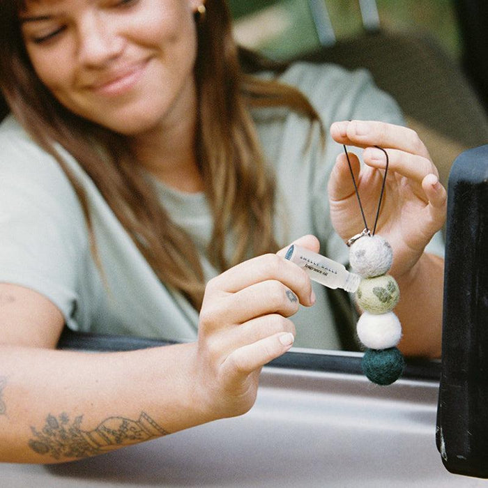 Smelly Balls | Scented Car Air Freshener
