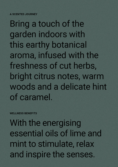 The Aromatherapy Co. | Therapy Wild Mint & Lime Scented Candle