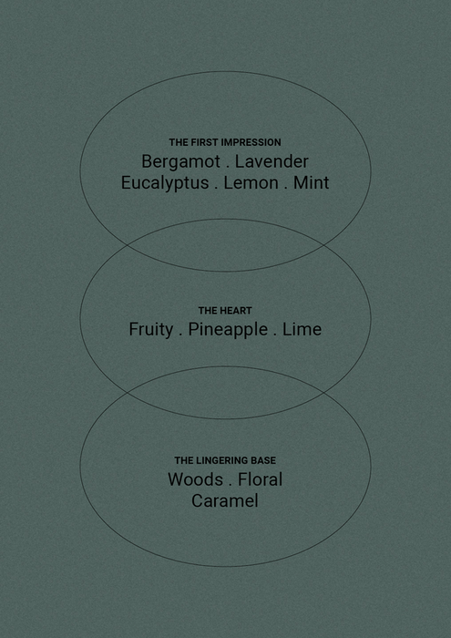 The Aromatherapy Co. | Therapy Wild Mint & Lime Scented Candle