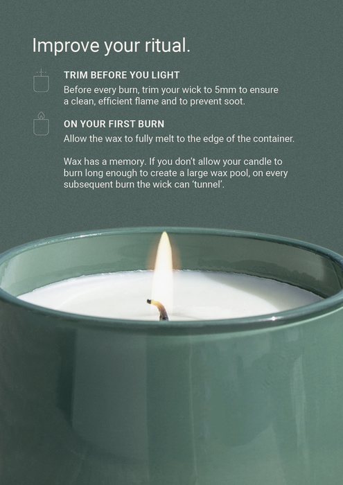 The Aromatherapy Co. | Therapy Wild Mint & Lime Scented Candle