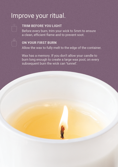 The Aromatherapy Co. | Therapy Restore Wild Berry & Jasmine Scented Candle