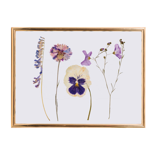 Discovery Zone | Classic Flower Press Wood