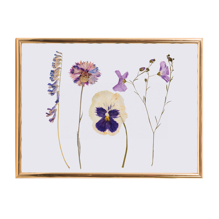 Discovery Zone | Classic Flower Press Wood