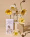 Bopo Women | Honeysuckle Haze Body Oil Homing Instincts