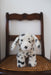 Nana Huchy | Debbie theDalmatian Cute Plush Soft Toy