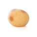 Discovery Zone | Sensory Spud Homing Instincts