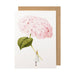 Scarpa Imports | Pink Hydrangea-Greeting Cards-Card