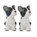 Coast to Coast Home | Frenchie Dog Ceramic Salt & Pepper Shaker Set Kitchen