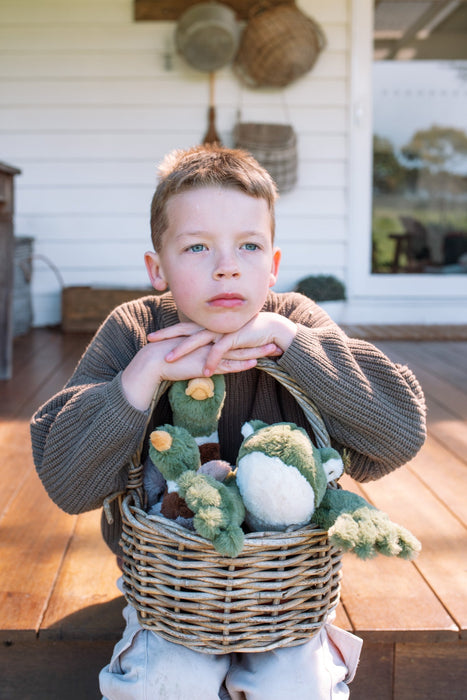 Nana Huchy | Green Tree Frog Soft Toy