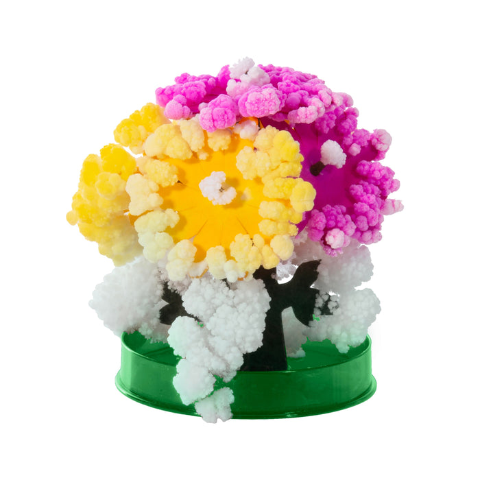 Discovery Zone | Magic Crystal Flowers Kit 24 pcs Assorted Colors