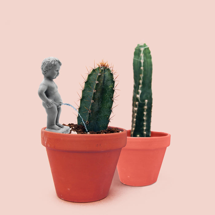 NPW | Pee My Plants Watering Decoration Grey