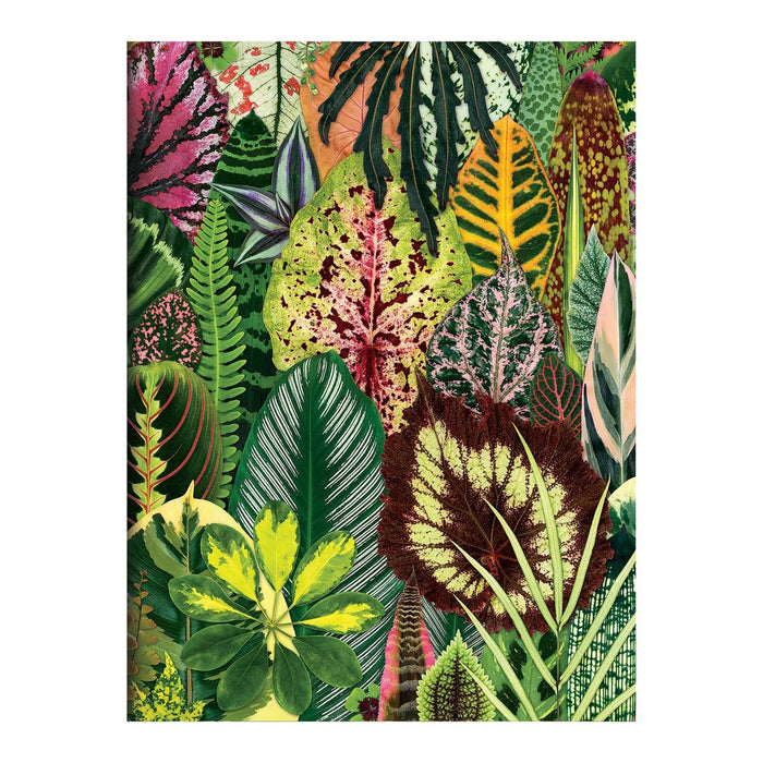 Galison | Houseplant Jungle Greeting Assortment Notecards