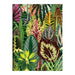 Galison | Houseplant Jungle Greeting Assortment Notecards