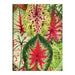 Galison | Houseplant Jungle Greeting Assortment Notecards