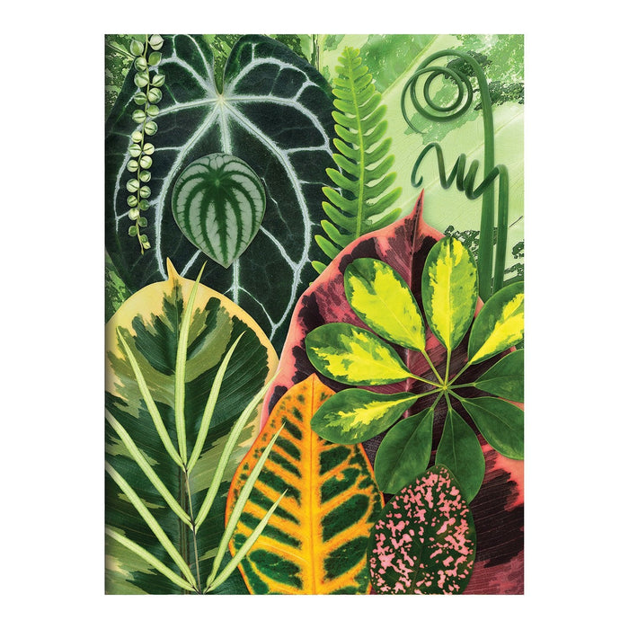 Galison | Houseplant Jungle Greeting Assortment Notecards