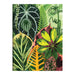 Galison | Houseplant Jungle Greeting Assortment Notecards
